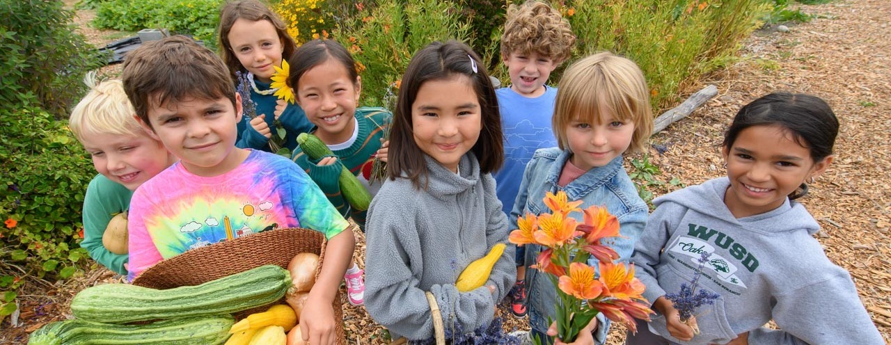 MEarth Summer Camp 2026